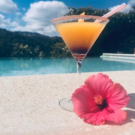Villa Santa Rita Auribeau-sur-Siagne Kültér fotó